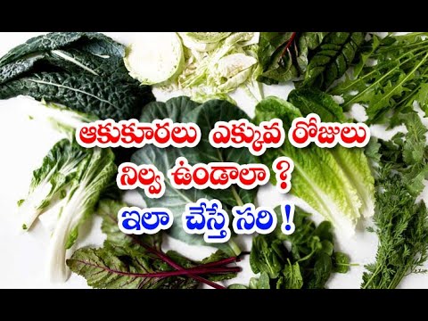  What To Do If The Leafy Vegetables Need To Be Stored For More Days! Leafy Vegeta-TeluguStop.com