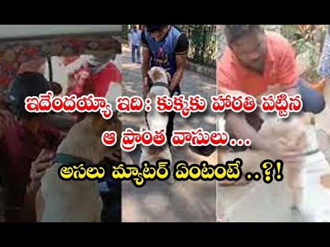  Residents Of The Area Where The Dog Was Bitten What Is The Real Matter-TeluguStop.com