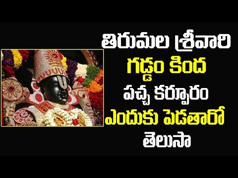  Why Is Green Camphor Applied To Lord Venkateswara’s Chin-TeluguStop.com