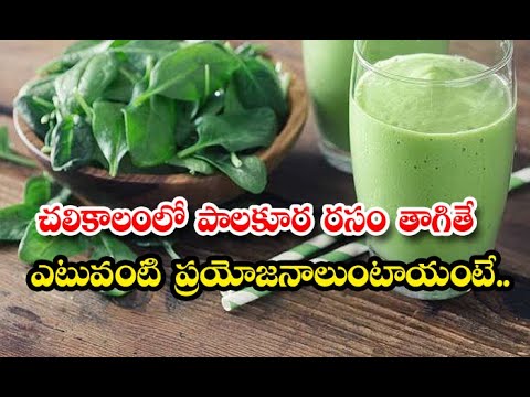  What Are The Benefits Of Drinking Spinach Juice In Winter-TeluguStop.com