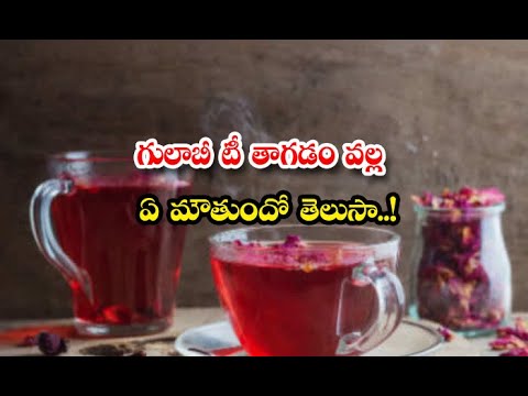  Do You Know What Happens When You Drink Rose Tea-TeluguStop.com