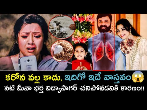  Not Corona, Here Is The Real Reason Behind,the Demise Of Actress Meenas Husband-TeluguStop.com