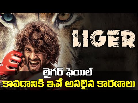  Reason Behind Liger Movie Failure-TeluguStop.com