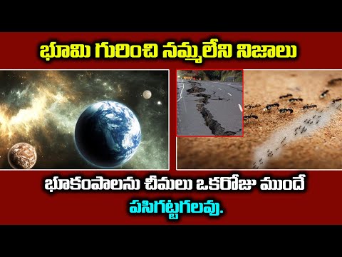  Top Shocking Facts About Earth Amazing Facts About Earth-TeluguStop.com