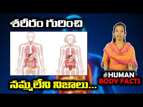  Amazing Facts About Human Body-TeluguStop.com