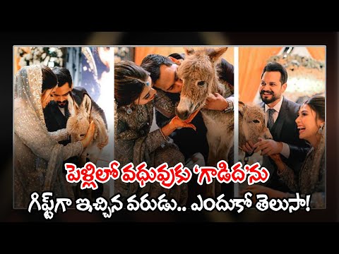  Pakistani Man Gifts Baby Donkey To His Bride In Wedding-TeluguStop.com
