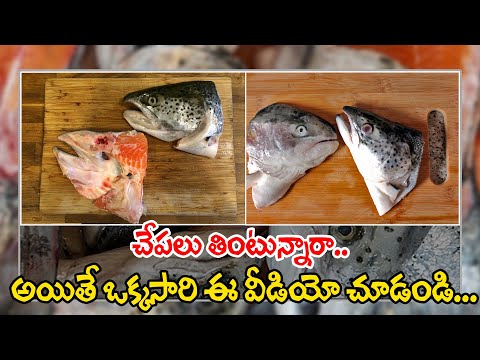  Benefits And Risks Of Eating Fish-TeluguStop.com