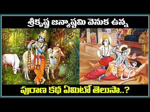  Significance And History Of Krishna Janmashtami-TeluguStop.com