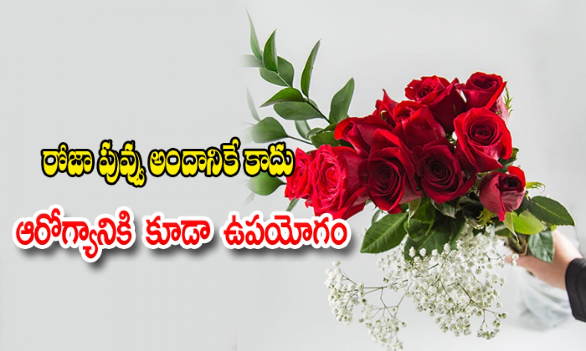  Roja Flower Uses In Human-TeluguStop.com