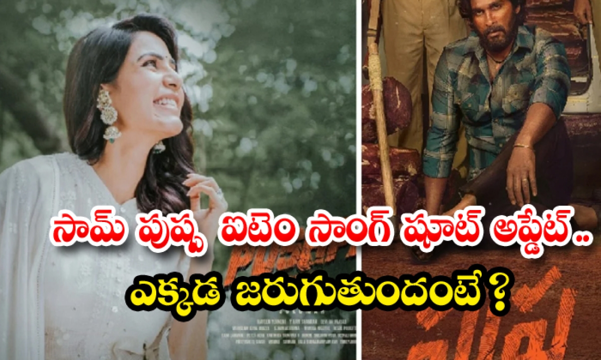  Samantha Special Song In Allu Arjun Pushpa Movie Shoot Update Details-TeluguStop.com