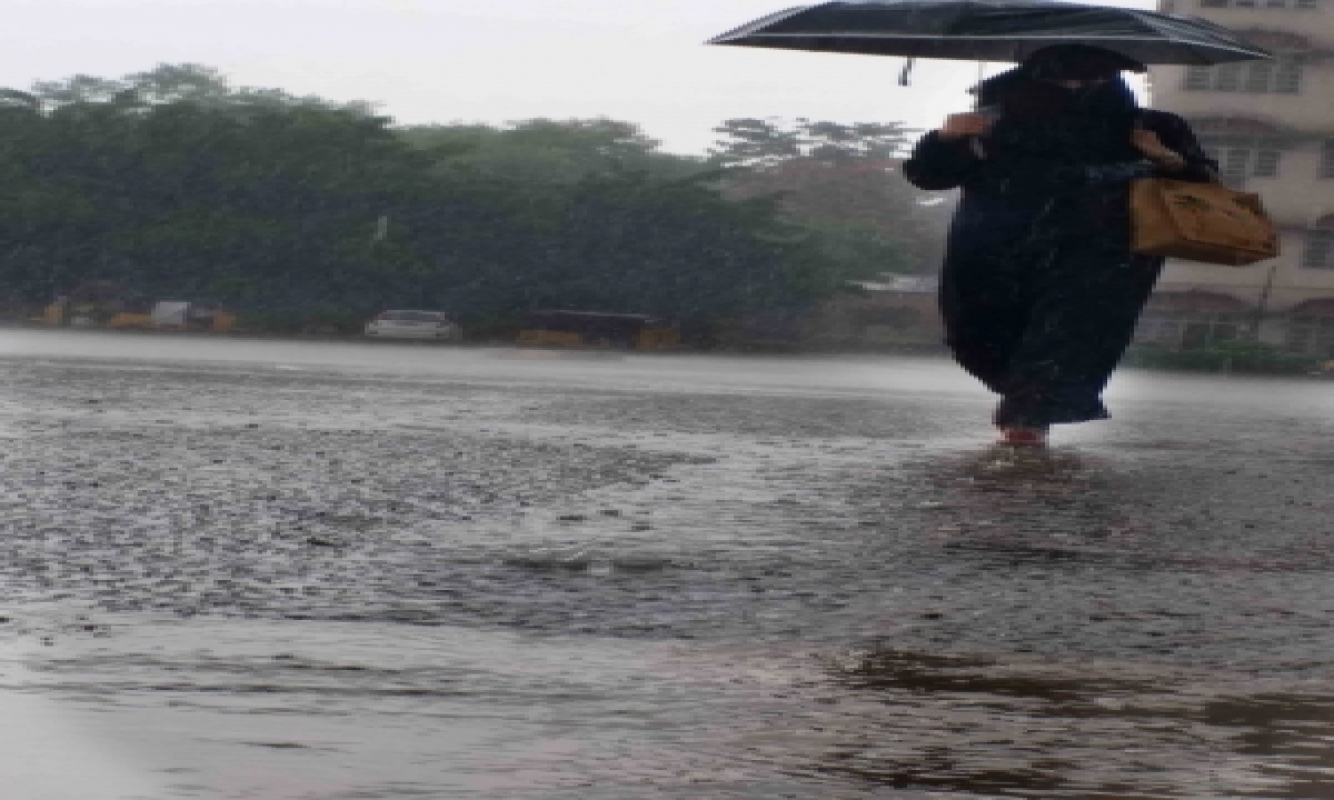  Above Normal Rainfall For Coastal Ap, Rayalaseema Next Fortnight-TeluguStop.com