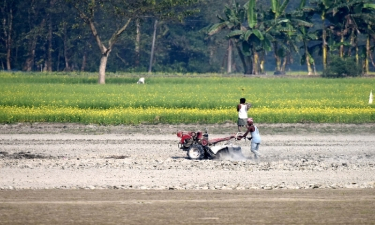  Agricultural Activity In Goa Dropped 34% Since Liberation: Report-TeluguStop.com