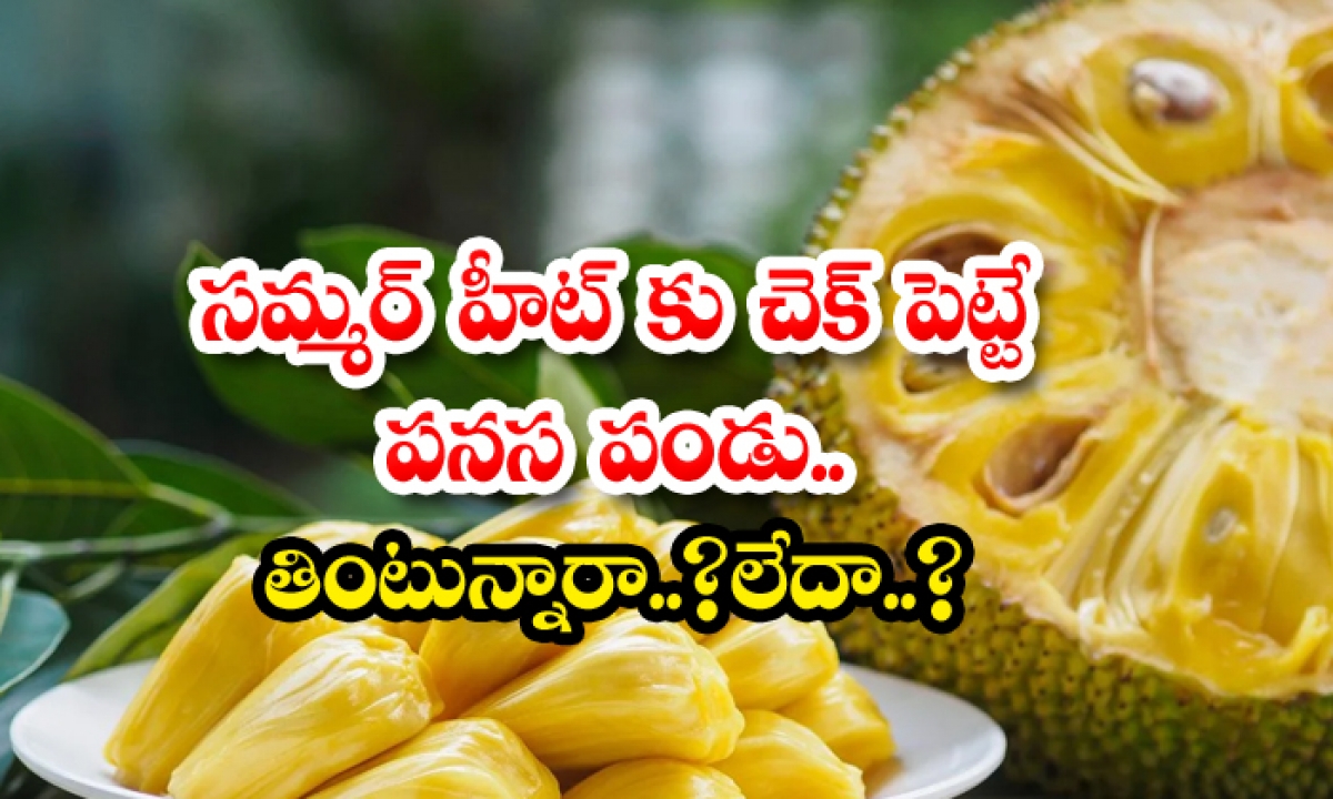  Benefits Of Eating Jackfruit In Summer-TeluguStop.com