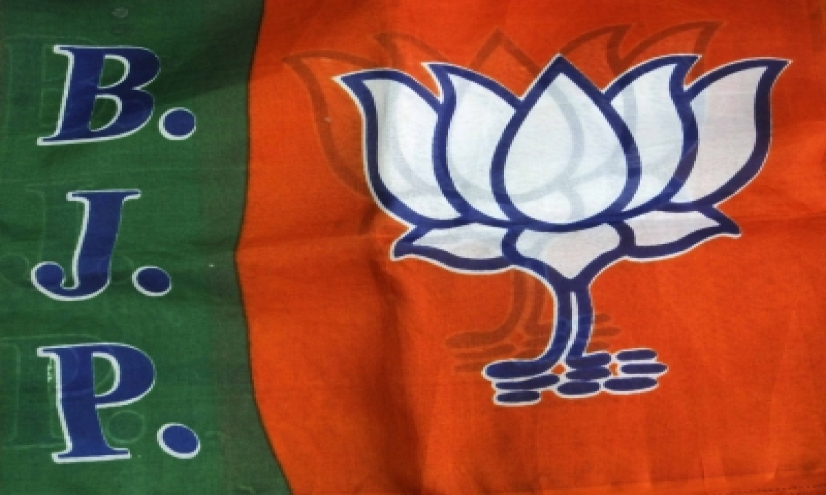  Bjp Focus On Caste In Appointing Poll-bound States In-charges-TeluguStop.com