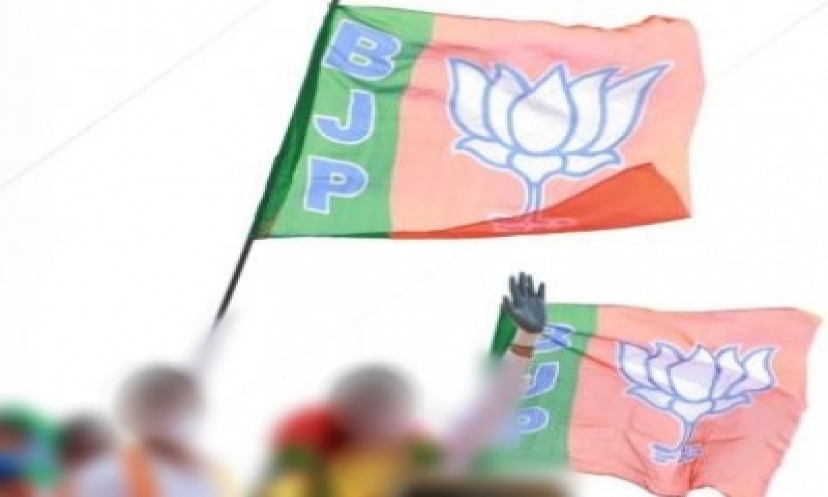  Bjp’s Constituency Management Plan For Mp Assembly Seats Not Won Since 201-TeluguStop.com