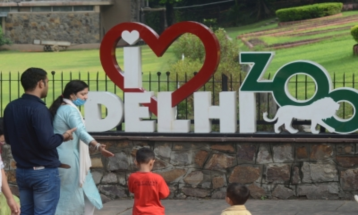  Black Kite With Satellite Tag And New Arrivals At The Delhi Zoo  –  Delhi-TeluguStop.com