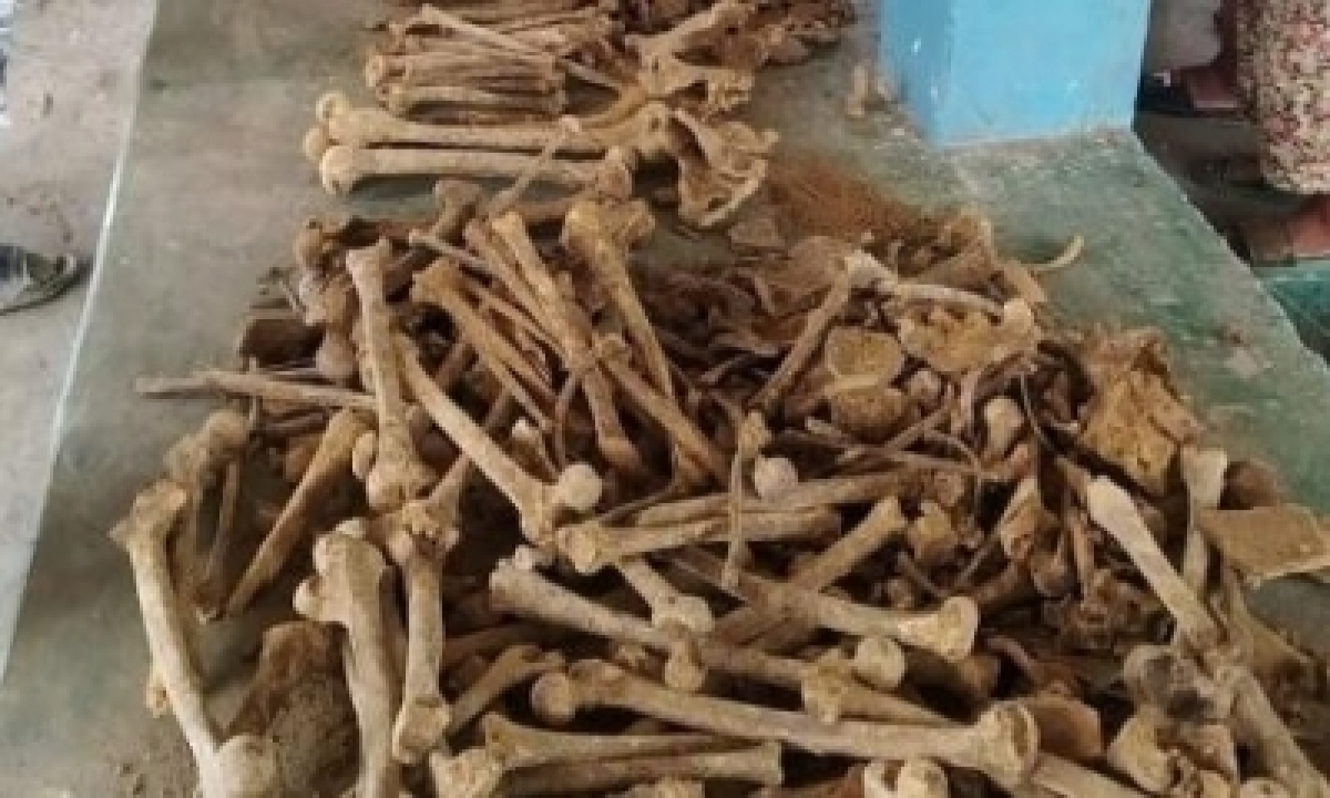  Bone Smuggler Arrested Along Indo-nepal Border-TeluguStop.com