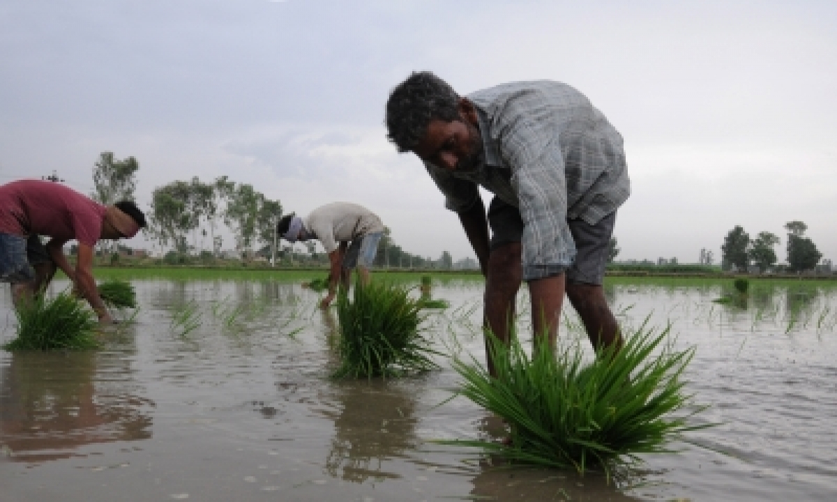  Centre, States Must Focus On Containing Covid In Rural Sector Ahead Of Kharif So-TeluguStop.com