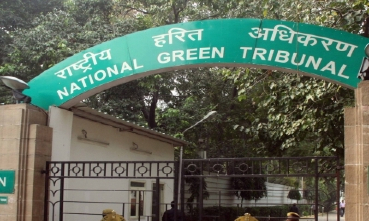  Dissatisfied With Up-pcb’s Report Ngt Asks Panel To Reassess Discharge Of-TeluguStop.com