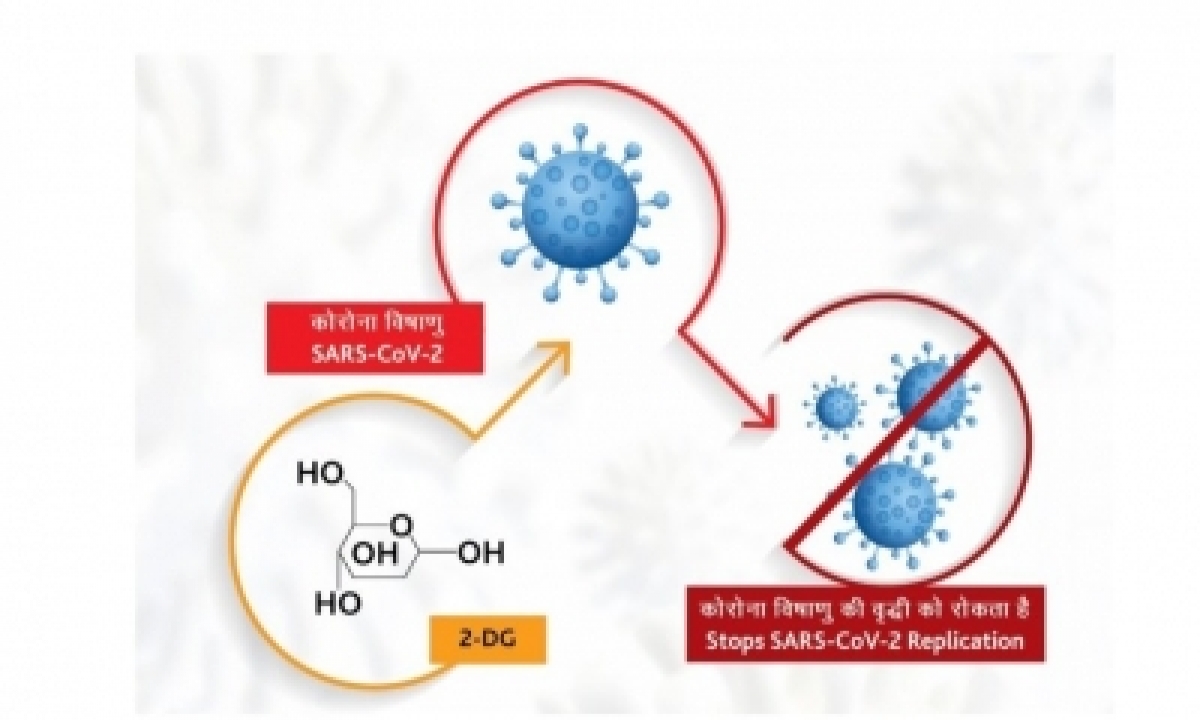  Drdo’s Anti-covid Drug 2-dg Launched-TeluguStop.com