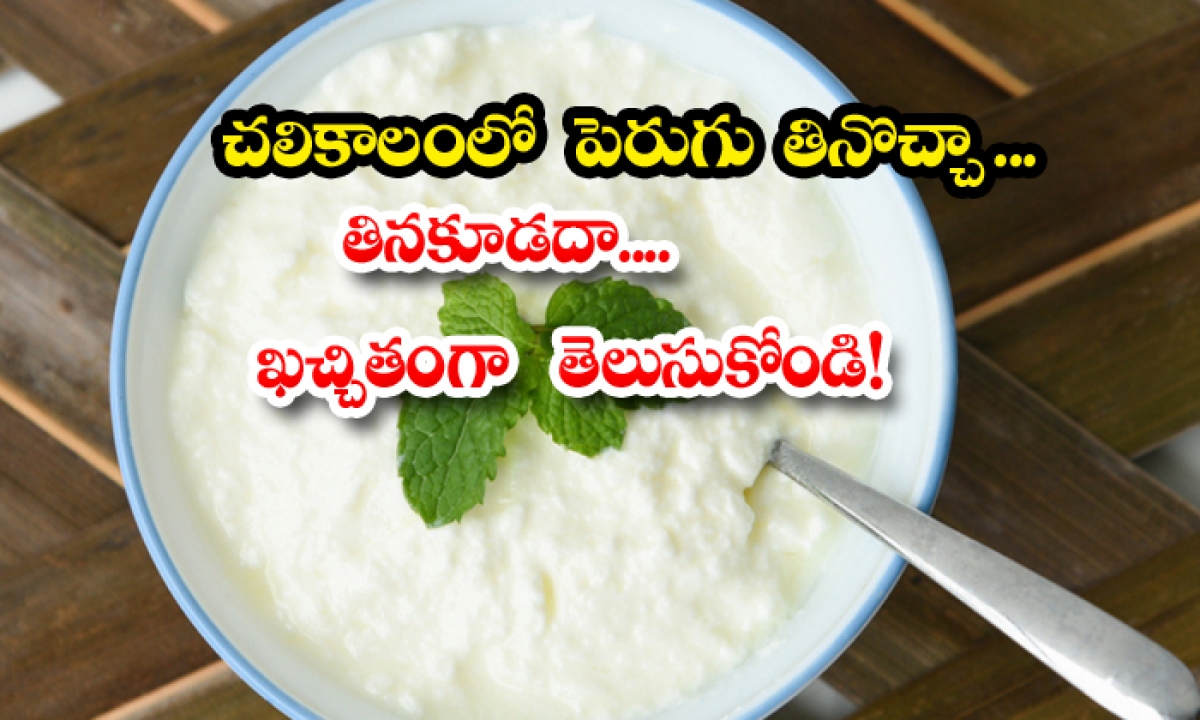  What Happens Eating Curd In Winter Season-TeluguStop.com