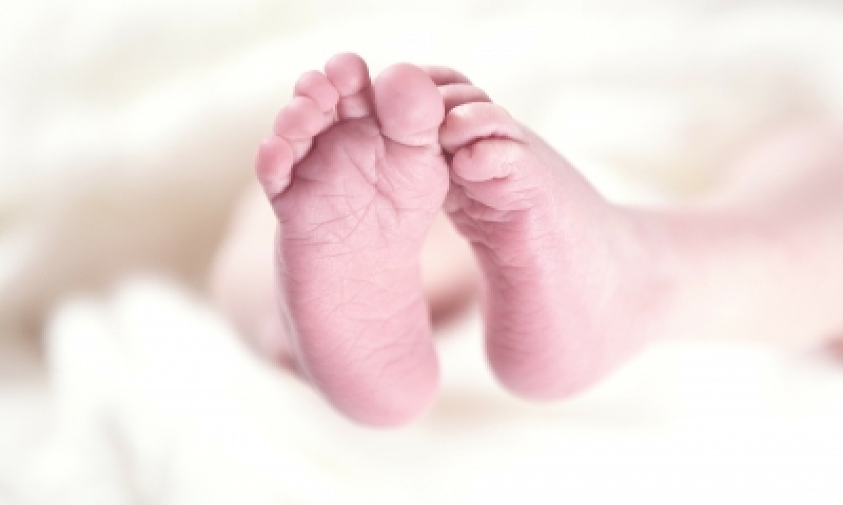  First Baby Born In Spain With Covid-19 Antibodies: Reports-TeluguStop.com