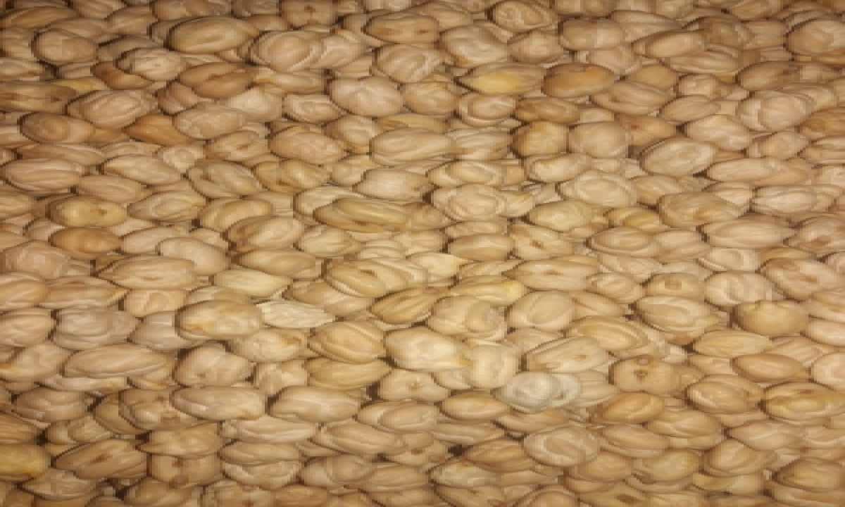  First Estimates Put Kharif Food Grain Production At 150.5 Mn Tonnes-TeluguStop.com