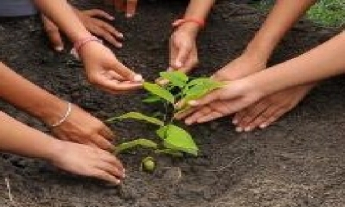  Green India Challenge To Plant 3 Cr Saplings In An Hour On July 24-TeluguStop.com