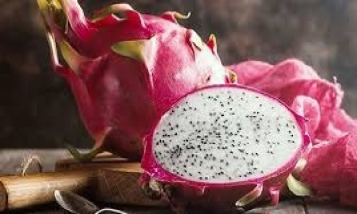  Gujarat Govt Renames ‘dragon Fruit’ As Kamalam-TeluguStop.com