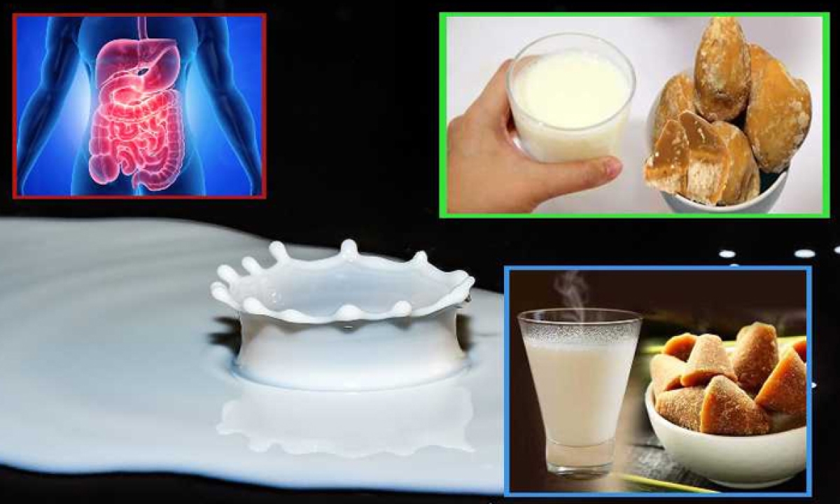  Which Milk Is Healthier For You Cow Milk Or Buffalo Milk-TeluguStop.com