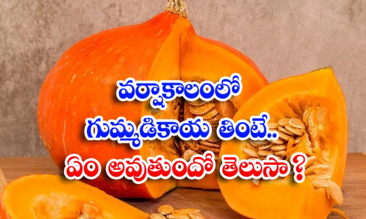  Health Benefits Of Eating Pumpkin Rainy Season Pumpkin Benefits-TeluguStop.com