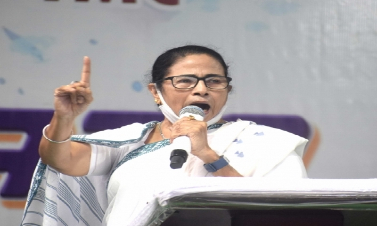  If I Don’t Win, Someone Else Will Become Cm: Mamata-TeluguStop.com