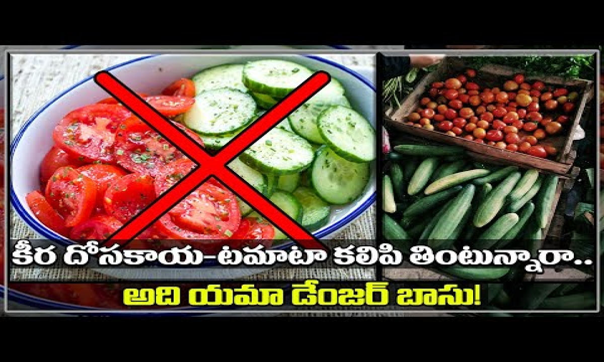 image 2613535 side effects of eating cucumber and tomato together telugu photo pic
