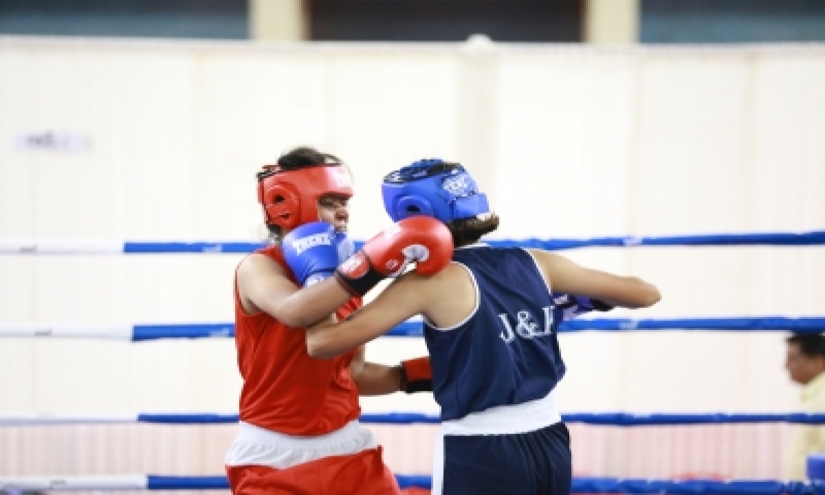  In Limited Sports Action In 2020, Indian Boxers Delivered Knockout Punch-TeluguStop.com