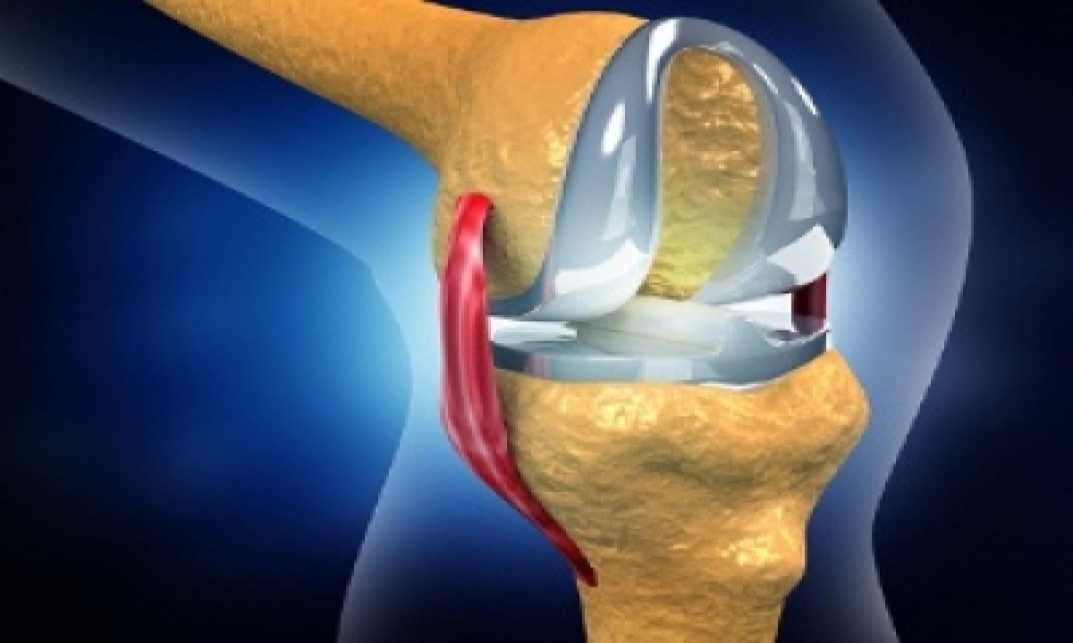  Indian Scientists Develop Models To Help Improve Hip, Knee Implants  –  De-TeluguStop.com
