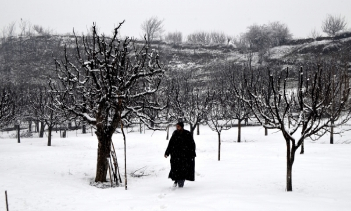  Intense Cold Amid Dry Spell Till Jan 31 In J&k, Ladakh-TeluguStop.com