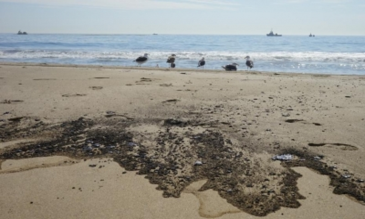  ‘massive Oil Spill Off California Coast A Potential Ecological Disaster-TeluguStop.com