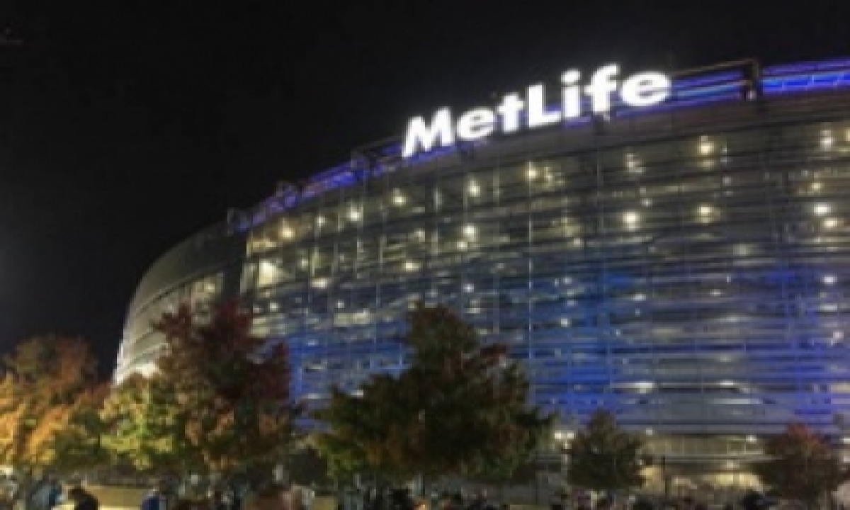  Metlife To Buy Out Elpro And Ige’s Stakes In Pnb Metlife – Chennai-TeluguStop.com