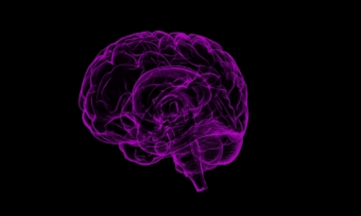  Modern Human Brain Originated 1.7 Mn Years Ago In Africa-TeluguStop.com