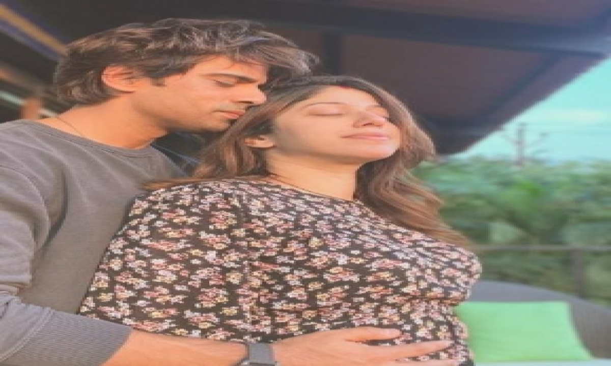  Mohit And Addite Malik Expecting First Child-TeluguStop.com