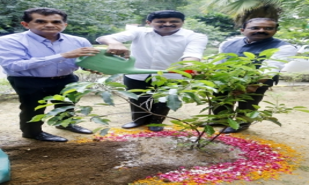  Niti Aayog Ceo Participates In Green India Challenge-TeluguStop.com