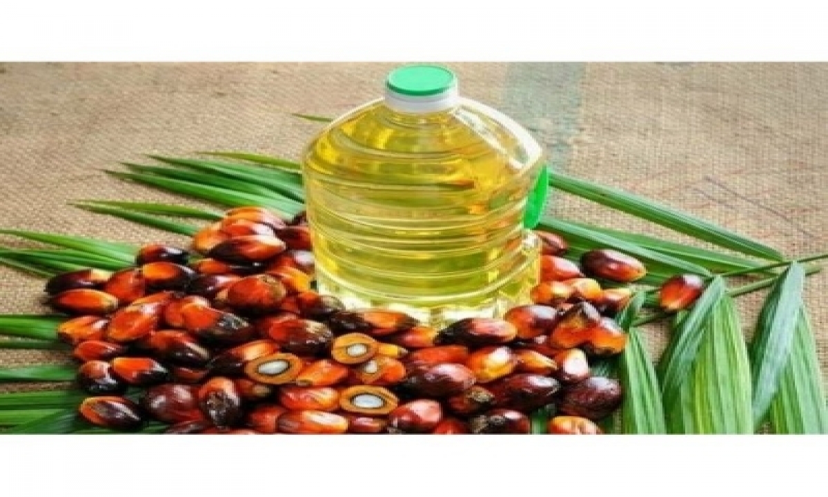  Oil Seeds Production Target Not Met In Last 3 Years-TeluguStop.com