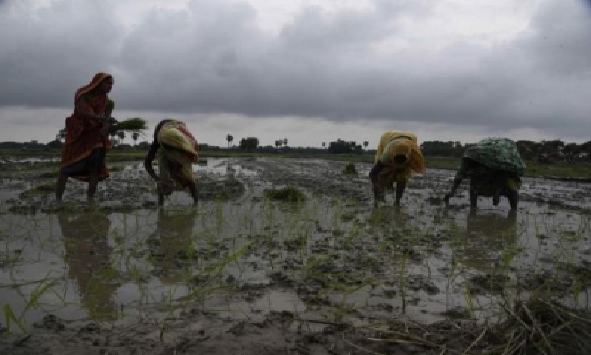  Organic Farming To Boost Up Farmers’ Wealth-TeluguStop.com