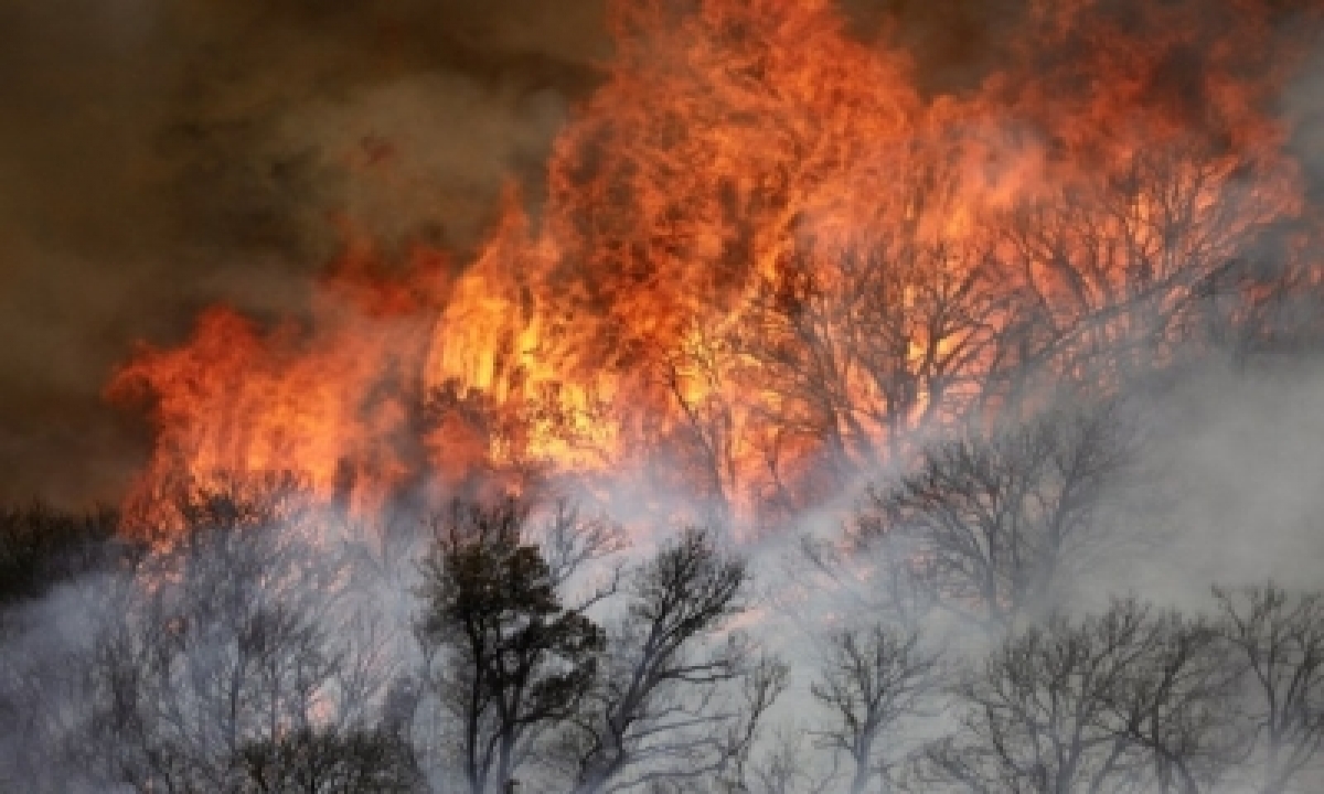  Over 1,600 Firefighters Battle New Blaze In California-TeluguStop.com