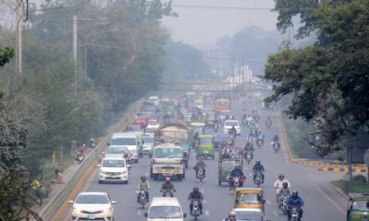 Pau Experts Clear The Air: Punjab Smog Highly Unlikely To Reach Delhi-TeluguStop.com