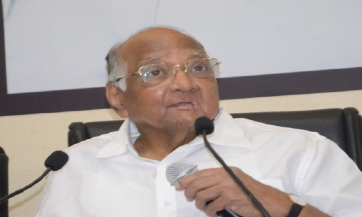  Pawar Says Charges Against Munde ‘serious’, Backs Malik-TeluguStop.com