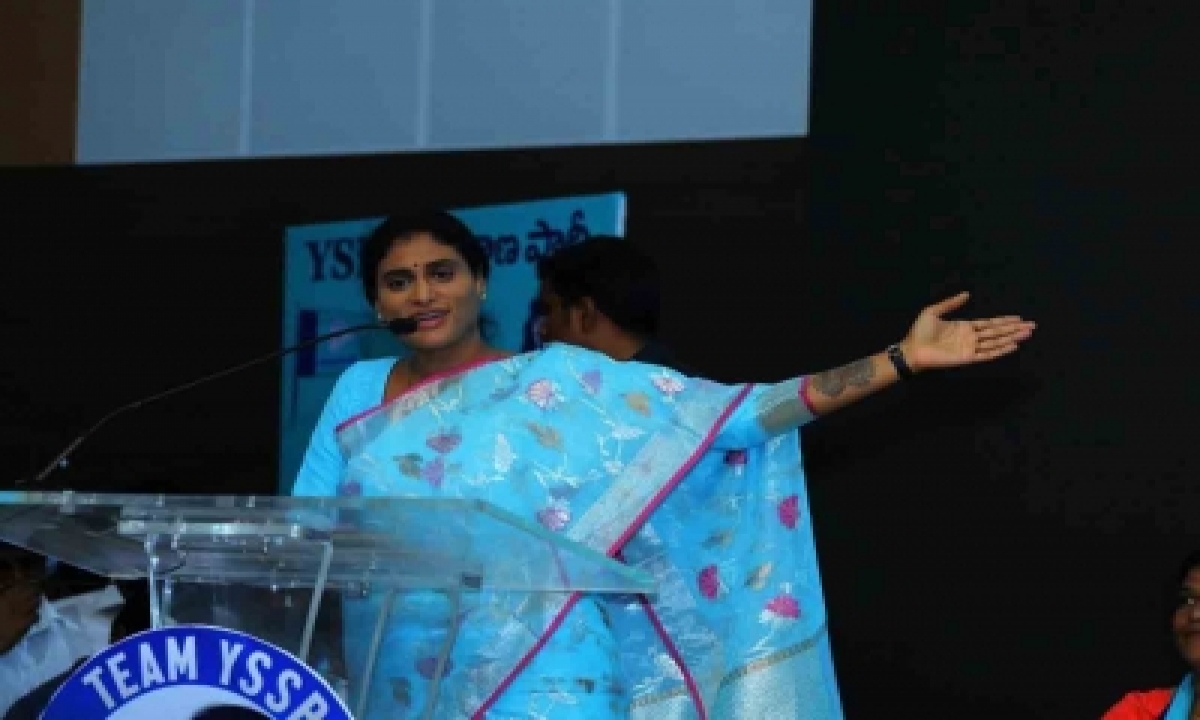  Sharmila Discusses Ysrtp Strategy With Team Pk  –  Telugu Telangana Andhra-TeluguStop.com