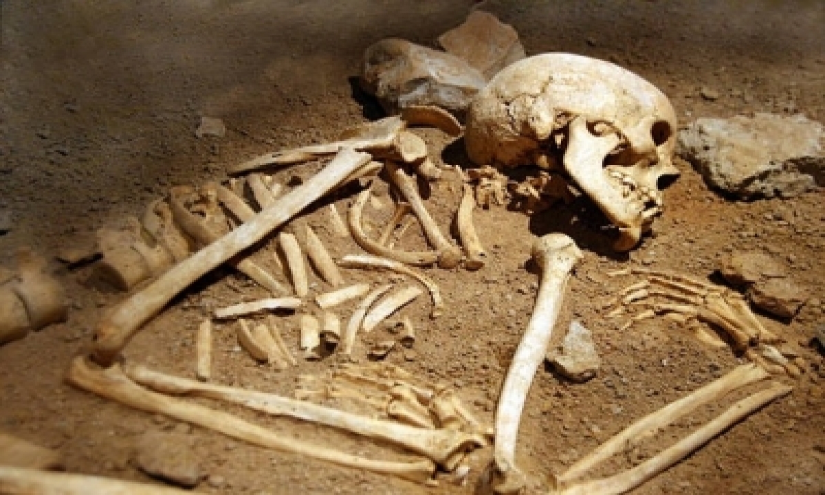  Skeletons Of 3 Missing Girls Found In Up Forest-TeluguStop.com