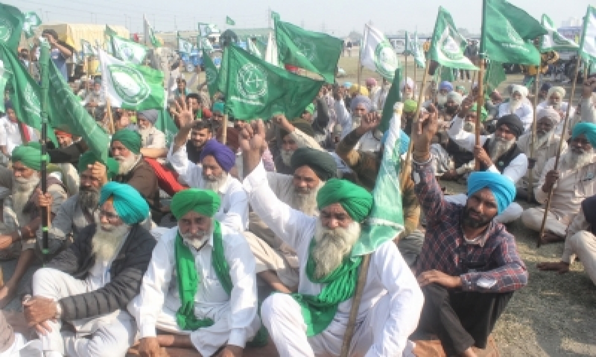  Stubble Now Keeping Protesting Farmers Warm-TeluguStop.com