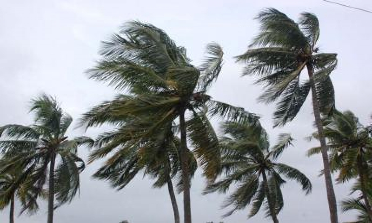  Thunderstorms In South Coastal Andhra, Rayalaseema On Wednesday-TeluguStop.com